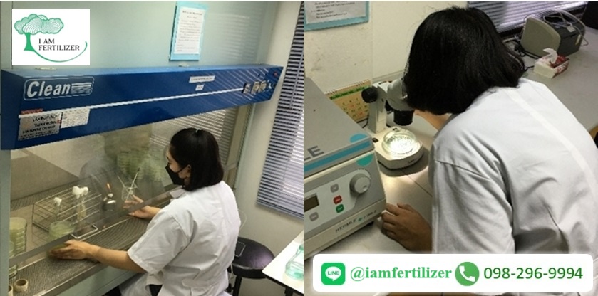 โรงงานรับผลิตปุ๋ย สร้างแบรนด์ปุ๋ย บริการครบจบในที่เดียว